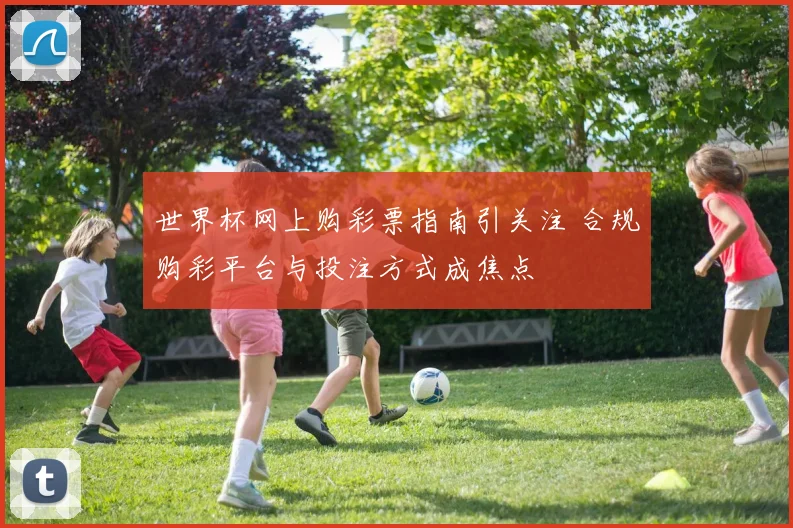 世界杯网上购彩票指南引关注 合规购彩平台与投注方式成焦点