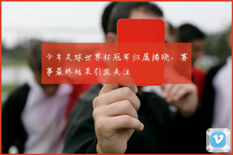 今年足球世界杯冠军归属揭晓,赛事最终结果引发关注