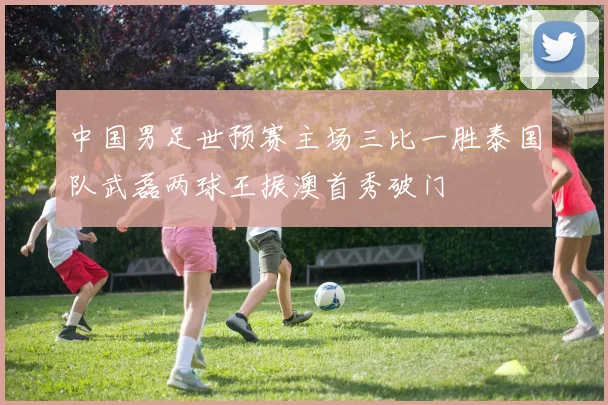 中国男足世预赛主场三比一胜泰国队武磊两球王振澳首秀破门